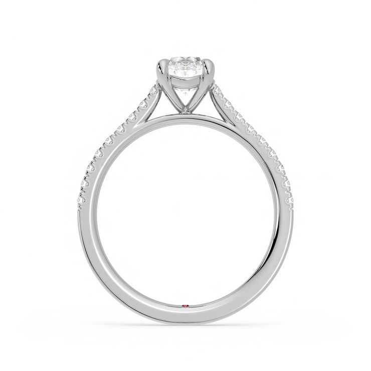 Serendipity engagement ring taylor and hart cathedral setting