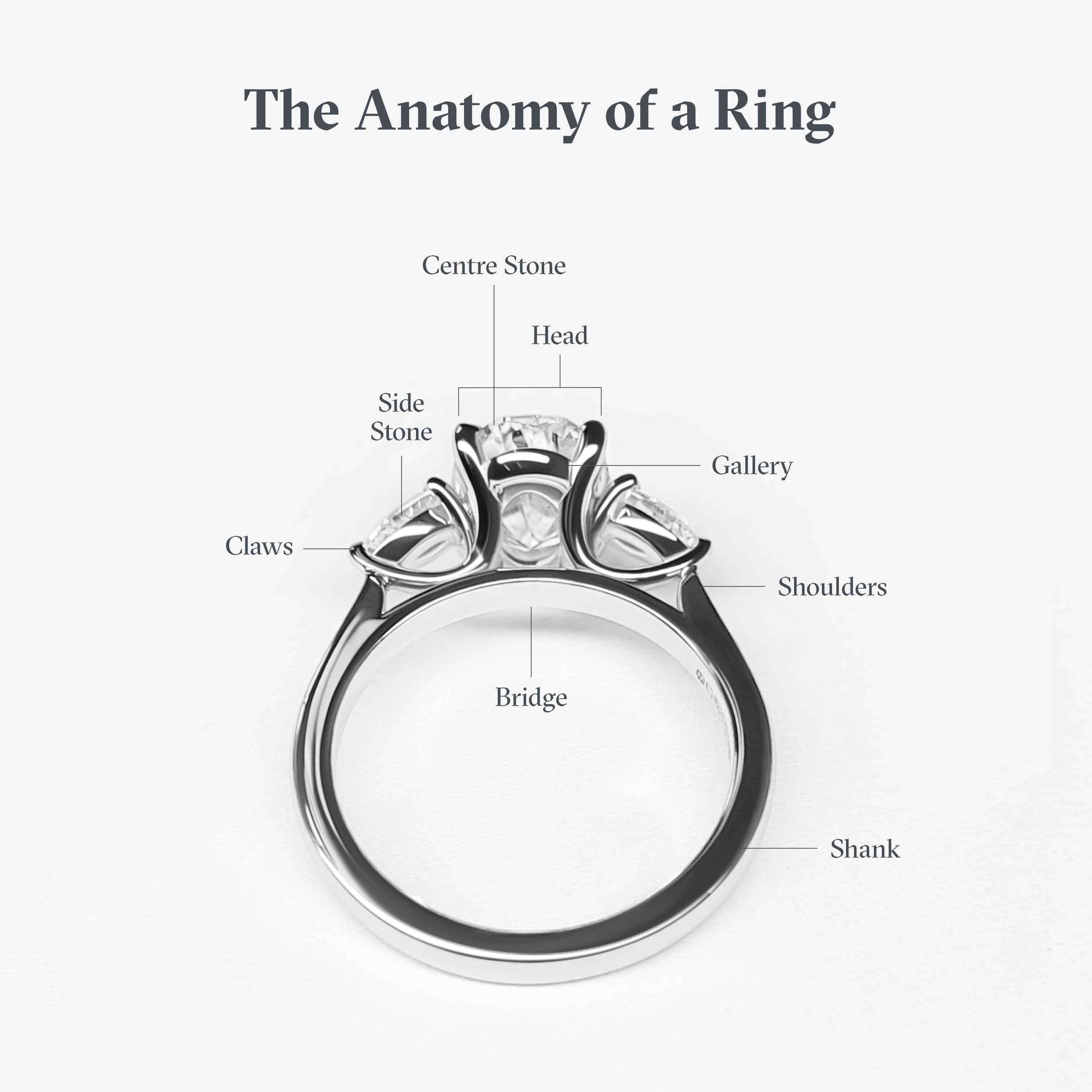 Anatomy of a ring