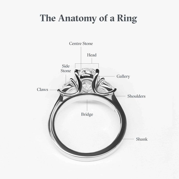 Anatomy of a ring