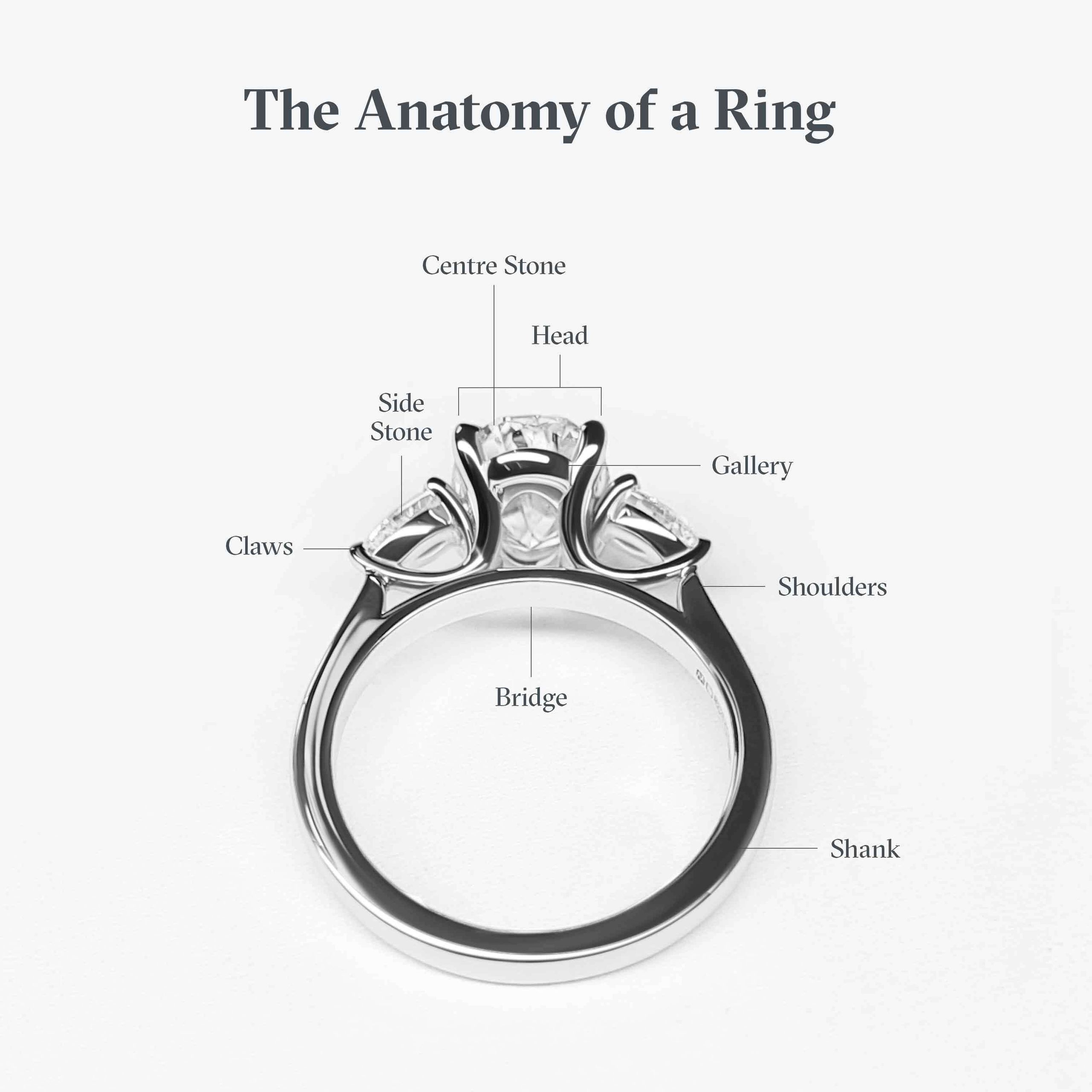 Anatomy of a ring