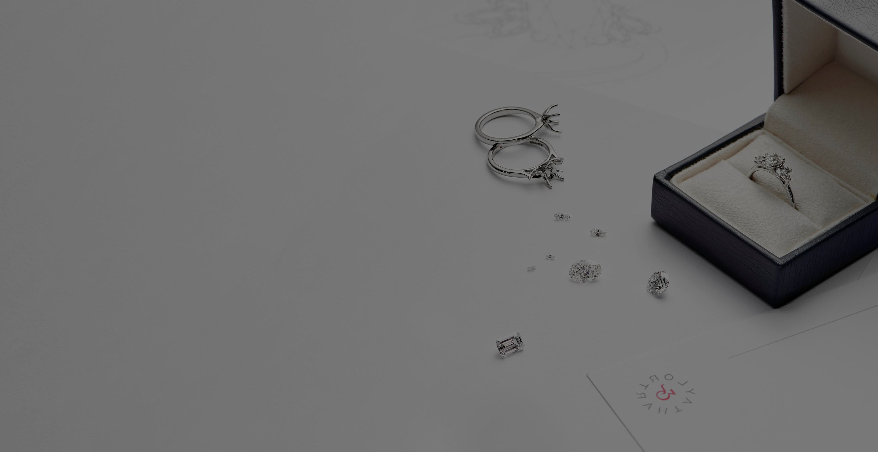 Rinspo Header