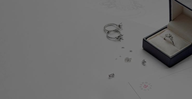 Rinspo Header