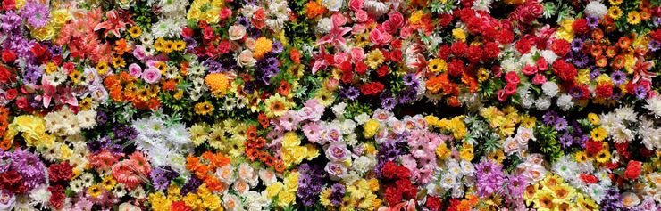 Julien Chatelain unsplash