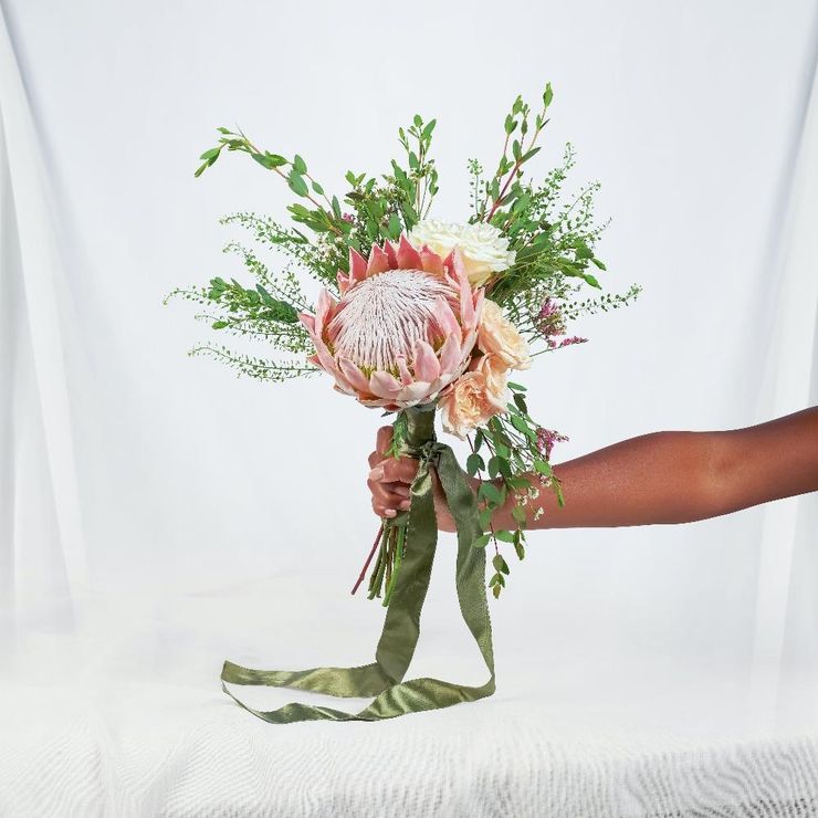 Protea