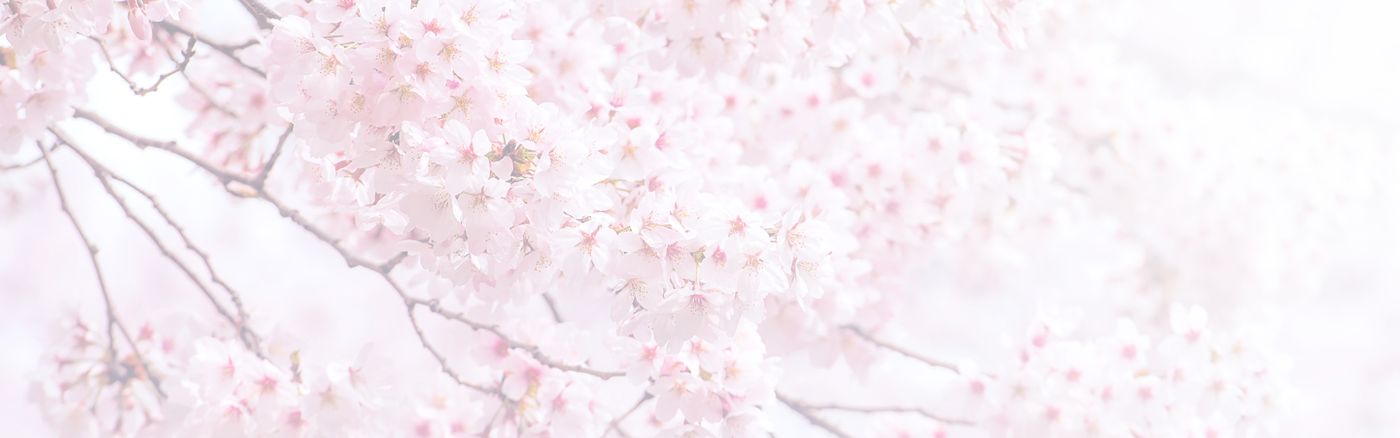 Cherry Blossom Festival