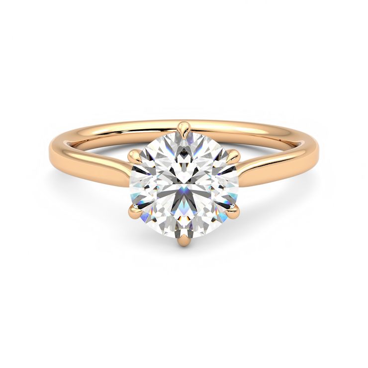 Eve round front rose