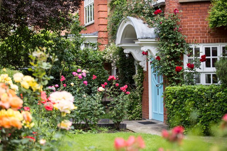 Freud’s Garden
