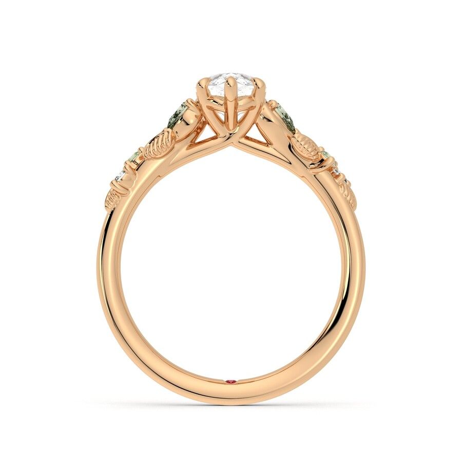 Lierre