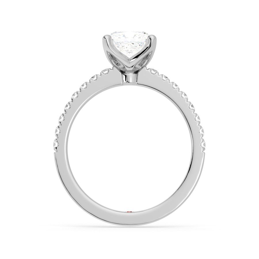 Taylor & Hart Constellation Princess Engagement Ring 1