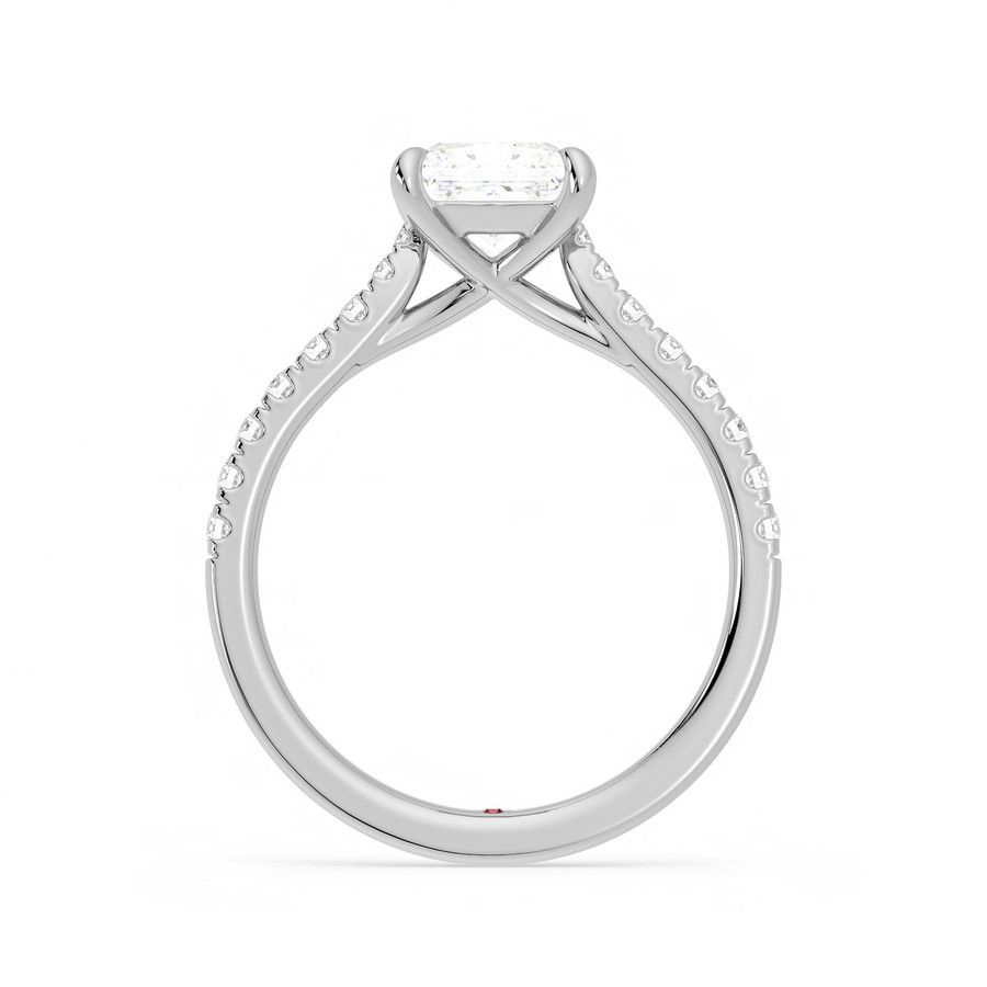 Taylor & Hart Aurora Princess Engagement Ring 1