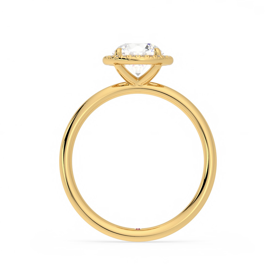 Dove, 18K Yellow Gold halo style engagement ring