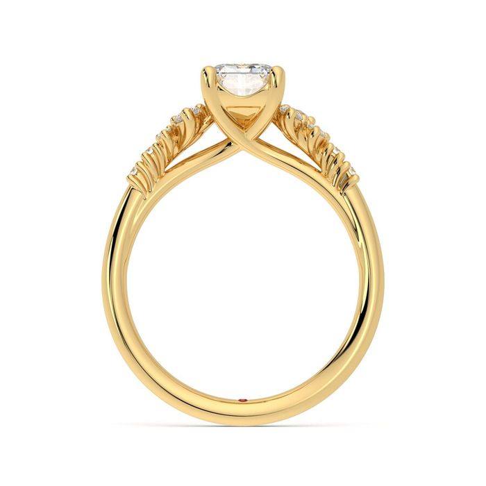 Marula