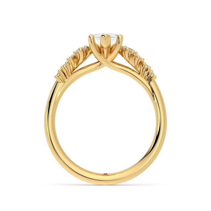 Marula