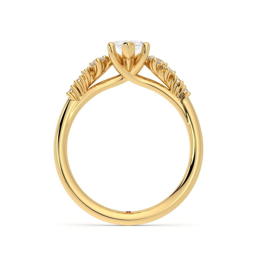 Marula