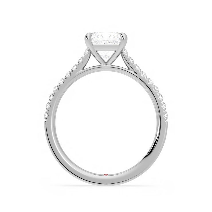 Taylor & Hart Serendipity Princess Engagement Ring 1