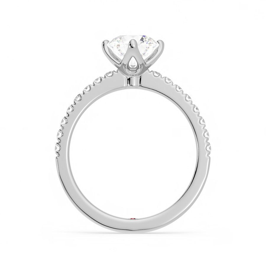 Taylor & Hart Constellation Round Engagement Ring 1