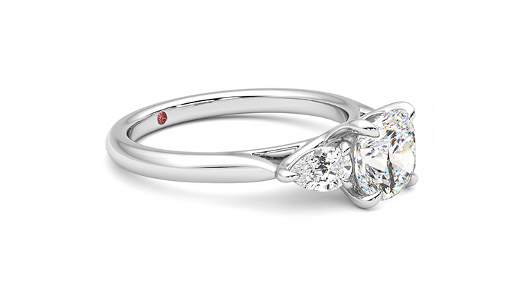 Taylor & Hart Affinity Cushion Engagement Ring 360 degree image 7