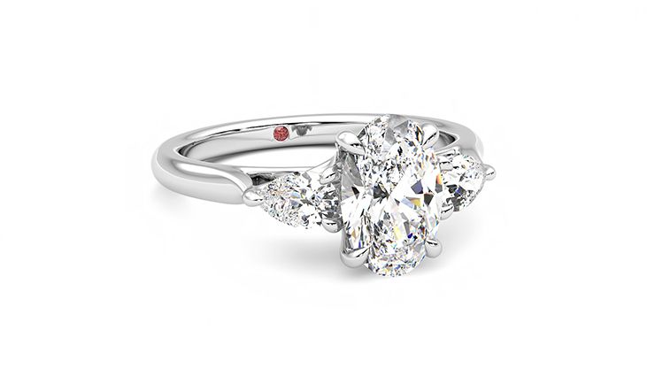 Taylor & Hart Affinity Oval Engagement Ring 360 degree image 4