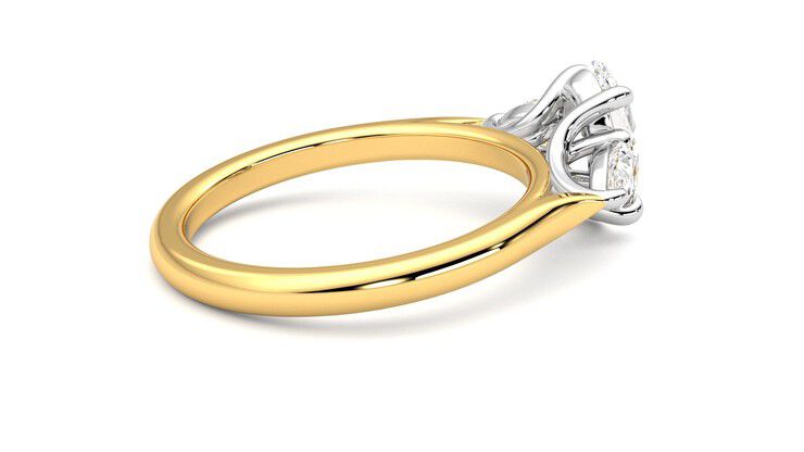 Taylor & Hart Affinity Oval Engagement Ring 360 degree image 11