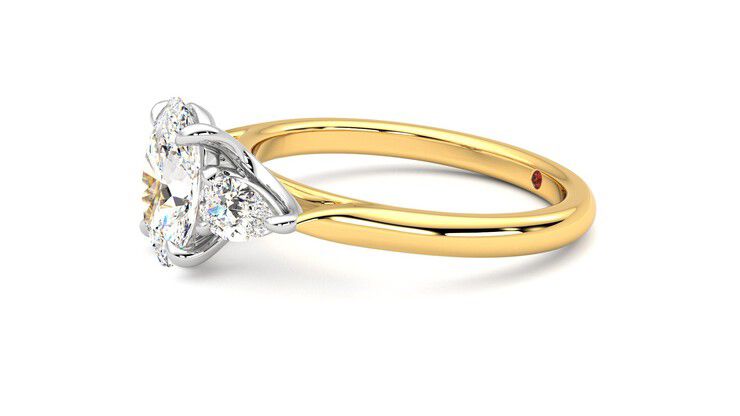Taylor & Hart Affinity Oval Engagement Ring 360 degree image 22
