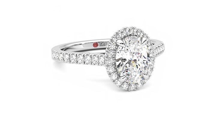 Taylor & Hart Allure Oval Engagement Ring 360 degree image 4