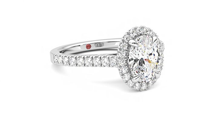 Taylor & Hart Allure Oval Engagement Ring 360 degree image 5