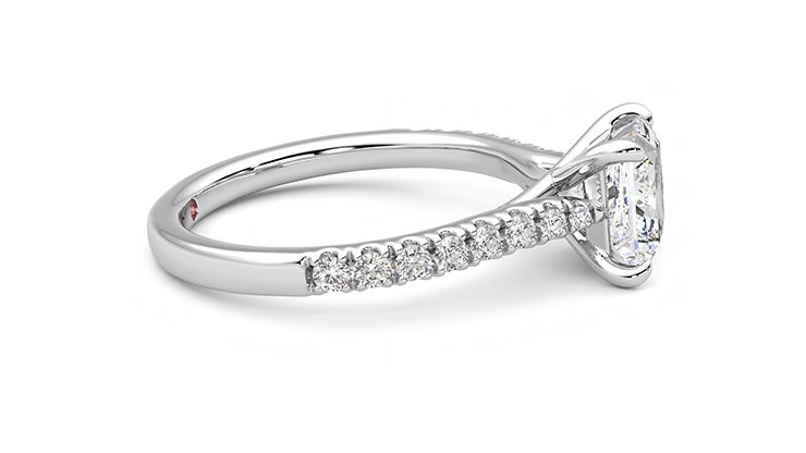 Taylor & Hart Aurora Princess Engagement Ring 360 degree image 9