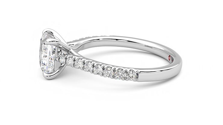 Taylor & Hart Aurora Princess Engagement Ring 360 degree image 21