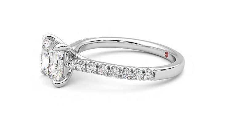 Taylor & Hart Aurora Princess Engagement Ring 360 degree image 22