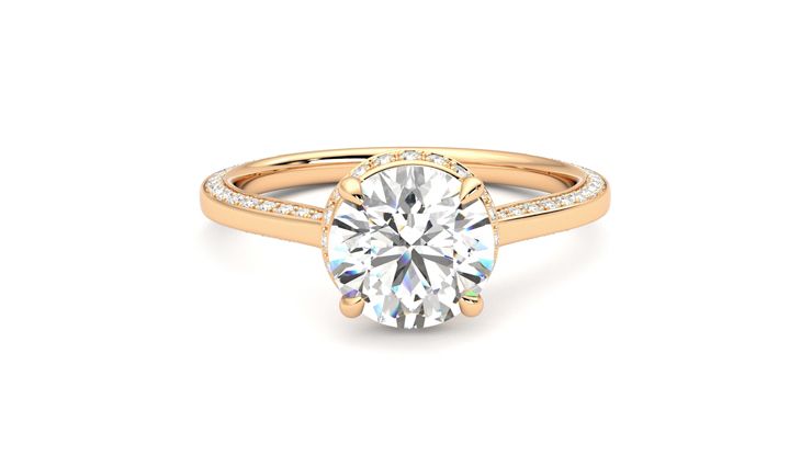 Taylor & Hart Coast Round Engagement Ring 360 degree image 1