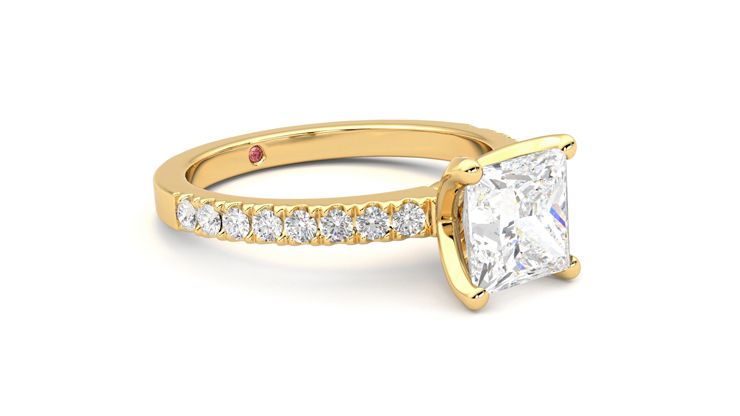 Taylor & Hart Constellation Princess Engagement Ring 360 degree image 6