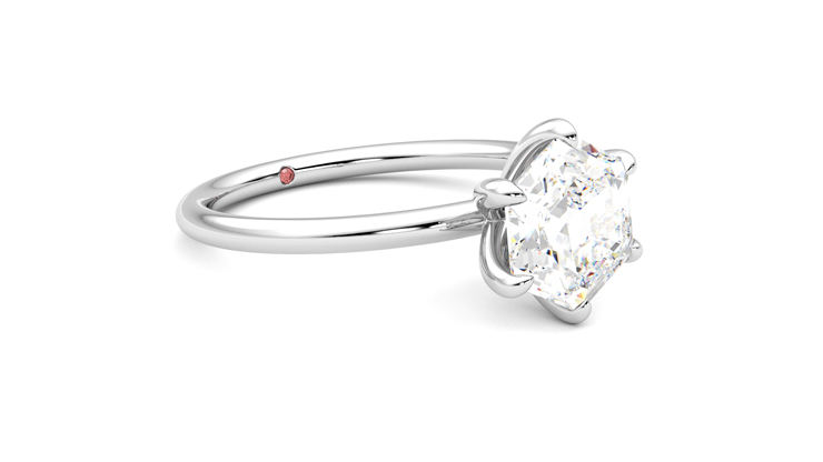 Taylor & Hart Demure Hexagonal Engagement Ring 360 degree image 6