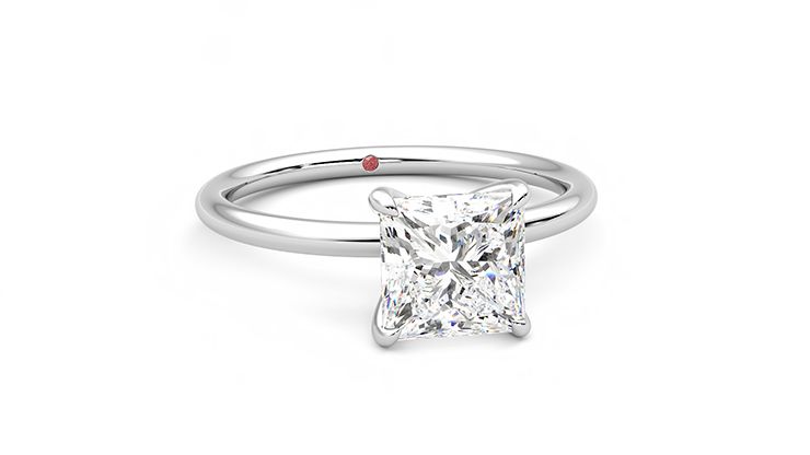 Taylor & Hart Demure Princess Engagement Ring 360 degree image 3