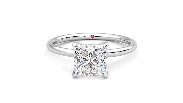 Taylor & Hart Demure Princess Engagement Ring 360 degree image 29