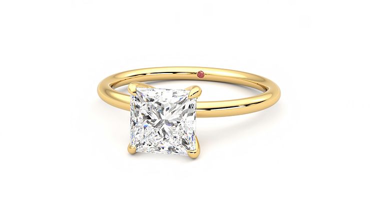 Taylor & Hart Demure Princess Engagement Ring 360 degree image 27