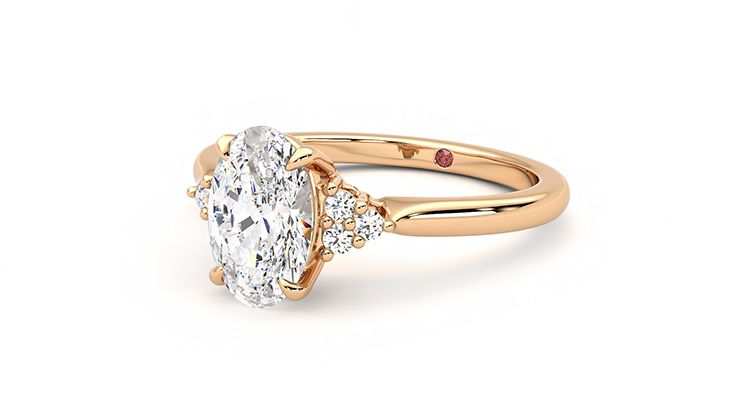 Taylor & Hart Divinity Oval Engagement Ring 360 degree image 24