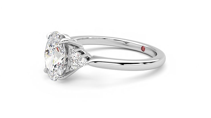 Taylor & Hart Divinity Oval Engagement Ring 360 degree image 22