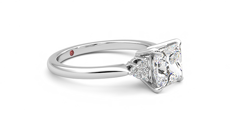 Taylor & Hart Divinity Princess Engagement Ring 360 degree image 7