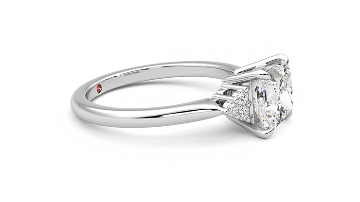 Taylor & Hart Divinity Princess Engagement Ring 360 degree image 8