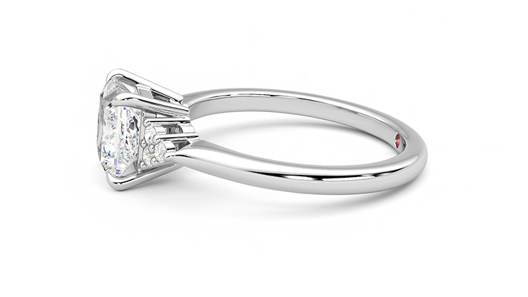 Taylor & Hart Divinity Princess Engagement Ring 360 degree image 21