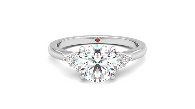 Taylor & Hart Divinity Round Engagement Ring 360 detail 01