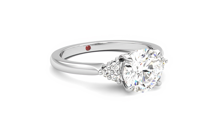 Taylor & Hart Divinity Round Engagement Ring 360 degree image 5