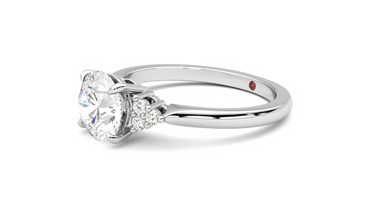 Taylor & Hart Divinity Round Engagement Ring 360 degree image 23