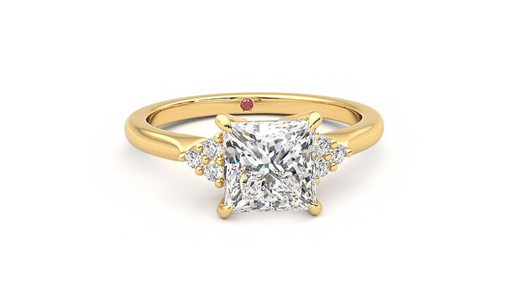 Taylor & Hart Divinity Princess Engagement Ring 360 degree image 2