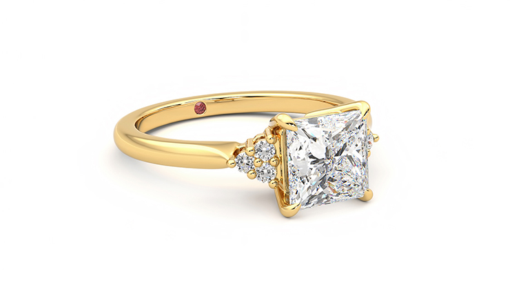 Taylor & Hart Divinity Princess Engagement Ring 360 degree image 5
