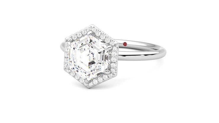 Taylor & Hart Dove Hexagonal Engagement Ring 360 degree image 26