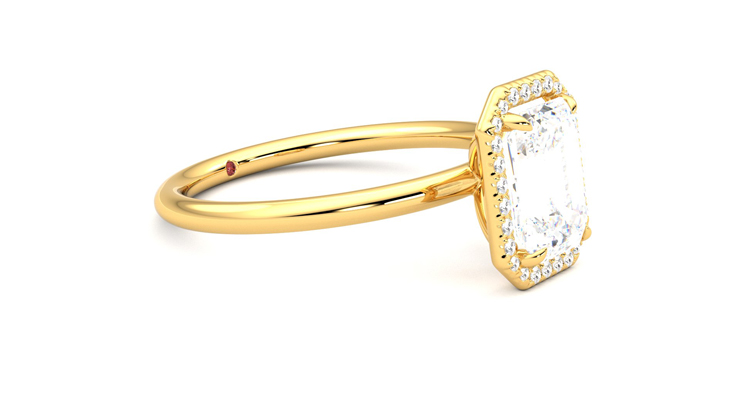 Dove, 18K Yellow Gold halo style engagement ring