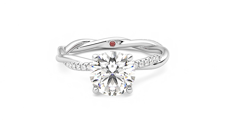 Taylor & Hart Enamour Round Engagement Ring 360 detail 01