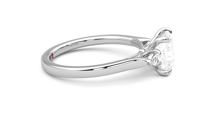 Taylor & Hart Faith Princess Engagement Ring 360 degree image 9