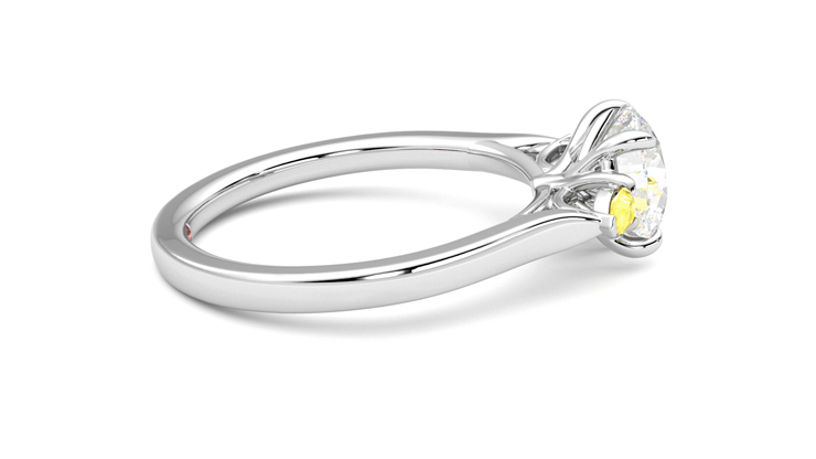 Taylor & Hart Faith Round Engagement Ring 360 degree image 10